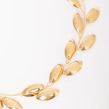 Chocker Zenia