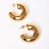 Hoops earrings